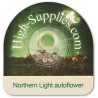 Northern Light Autoflowering Hanfsamen