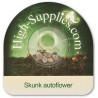 Skunk Autoblommande Cannabis Frön Skunk Autoblommande Cannabis Frön