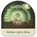 Northern Light x Shiva Feminiserade Cannabis Frön