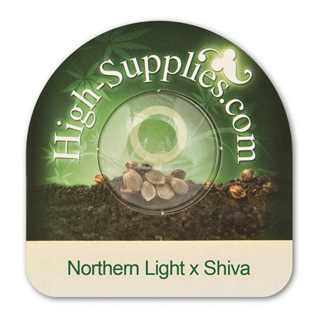 Northern Light x Shiva Feminiserade Cannabis Frön