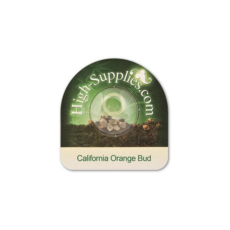 California Orange Bud Feminisierte Hanfsamen