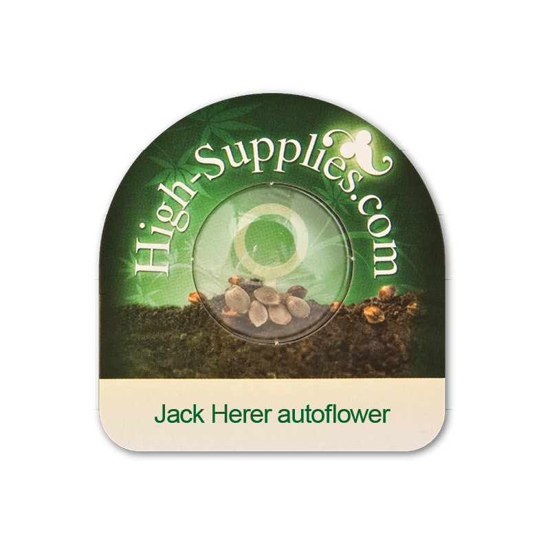 Jacker Herer autoflorecientes