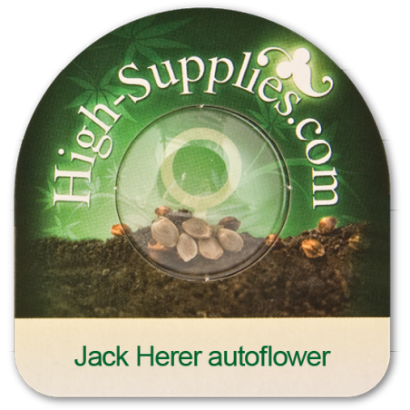 Jack Herer Autoflowering seeds