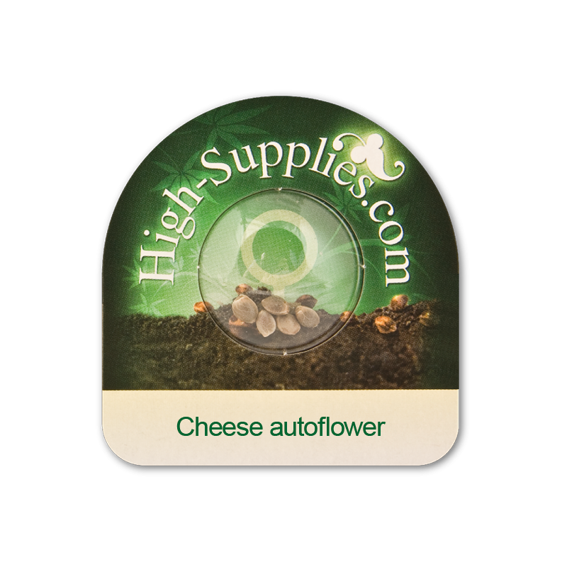 Cheese Auto Automatic Nasiona Konopi