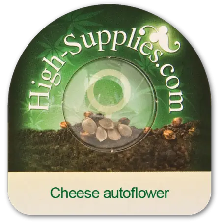 Cheese Autoflowering Marijuana Seeds