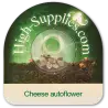 Cheese Autoflowering Marijuana Seeds