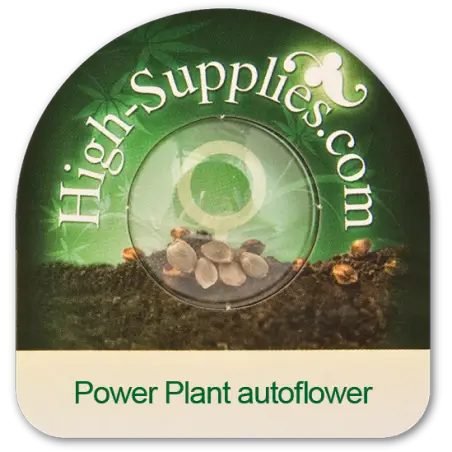 Power Plant Autoflowering Marijuana Seeds