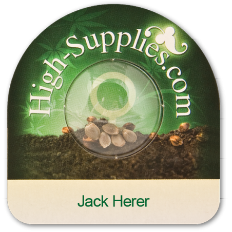 Feminiserade Jack Herer frön