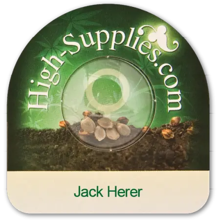 Jack Herer Feminized Seeds Online | Buy Jack Herer Feminized Seeds