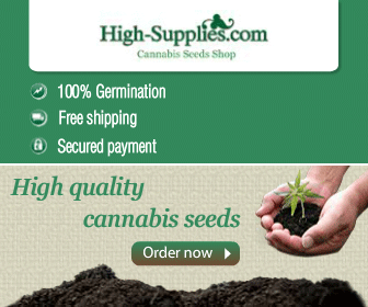 cannabis seeds