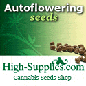 Cannabis seeds