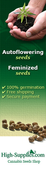 Cannabis seeds