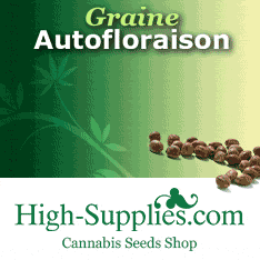 Commande Graines de Cannabis