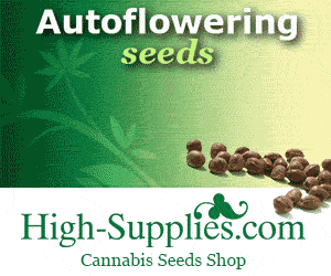 Cannabis seeds