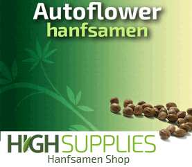 Hanfsamen kaufen