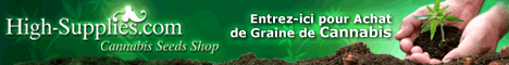 Graine de cannabis