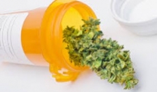 The Journey of Medical Marijuana