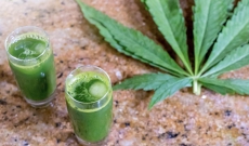 Best Detox Drinks to Help You Pass a Drug Test