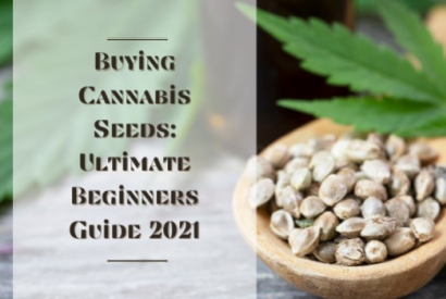 Buying Cannabis Seeds: Ultimate Beginners Guide 2021