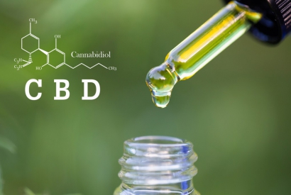 Five Best CBD Strains