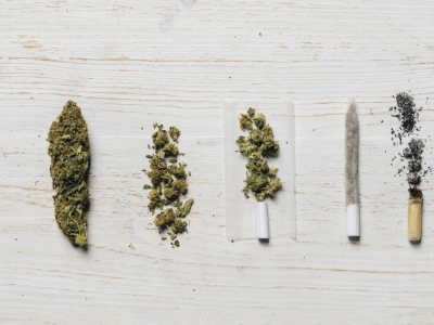 Cannabis – En Plantens Reise Gjennom Tid: Oppdag Nå!